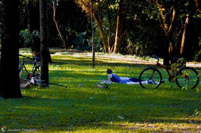 A harmonia com a natureza cada vez mais se faz necessária na vida do ser humano. No complexo turístico Thermas de Iraí, o turista encontrará um bosque de aproximadamente cinco mil metros de extensão e dois de largura, propício para trilhas, caminhadas, ca