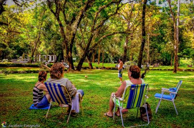 A harmonia com a natureza cada vez mais se faz necessária na vida do ser humano. No complexo turístico Thermas de Iraí, o turista encontrará um bosque de aproximadamente cinco mil metros de extensão e dois de largura, propício para trilhas, caminhadas, ca
