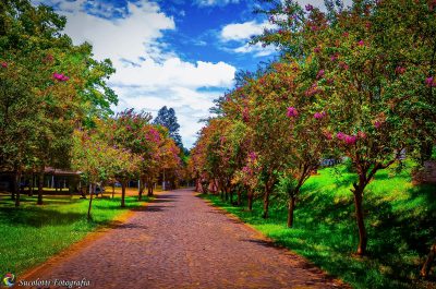 Camping municipal - Para quem gosta de um contato mais direto com a natureza, o camping municipal é uma excelente saída. Às margens do rio do Mel, o local oferece o melhor da natureza. Ótima infraestrutura para acampamentos, festas, bares para curtir mome